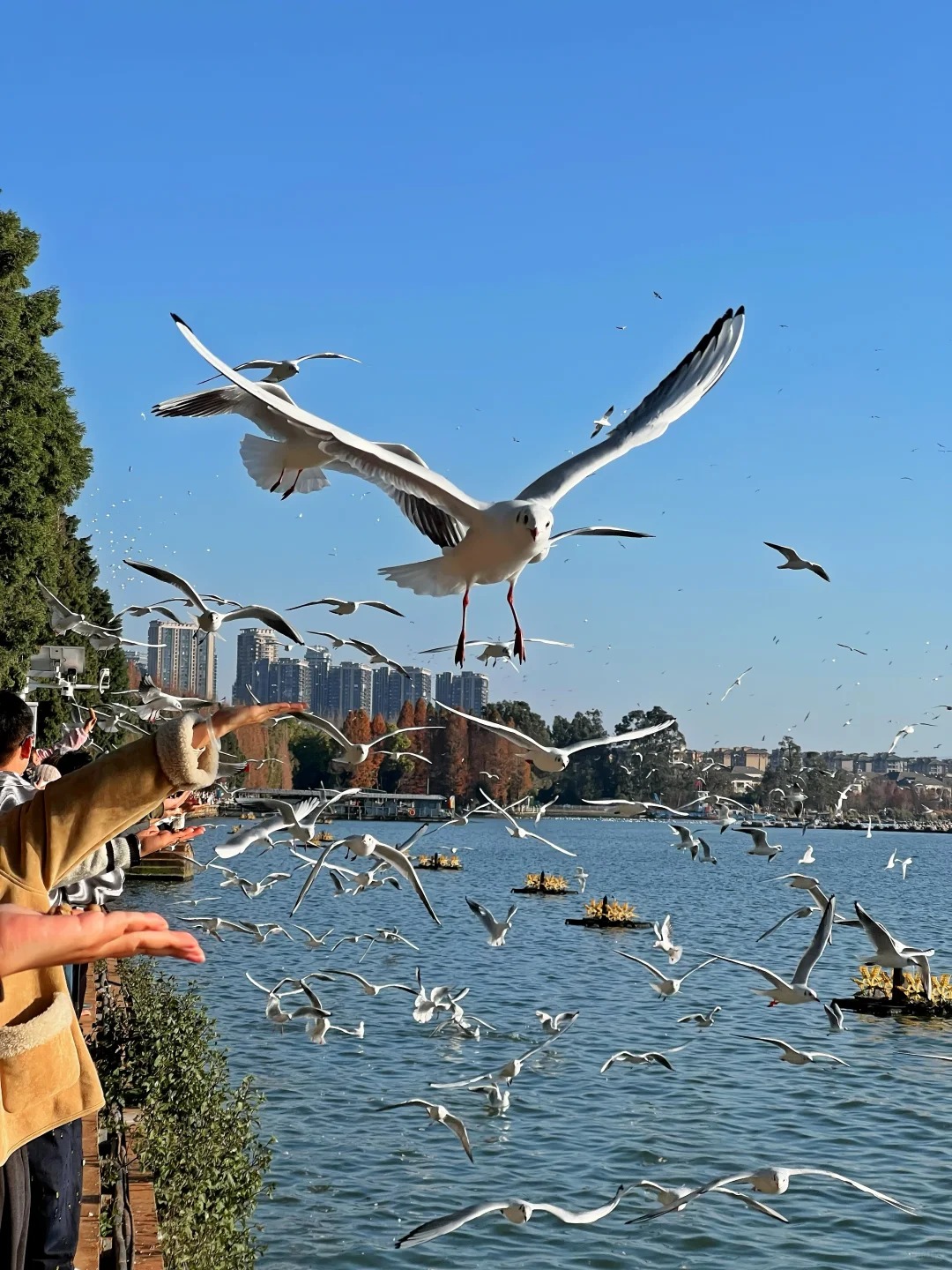 Dianchi Lake